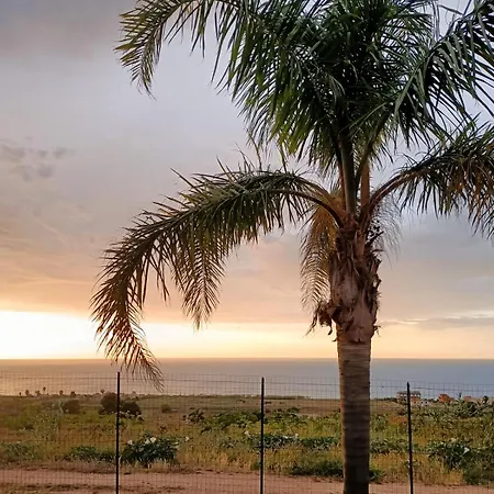 فيلة Panorama